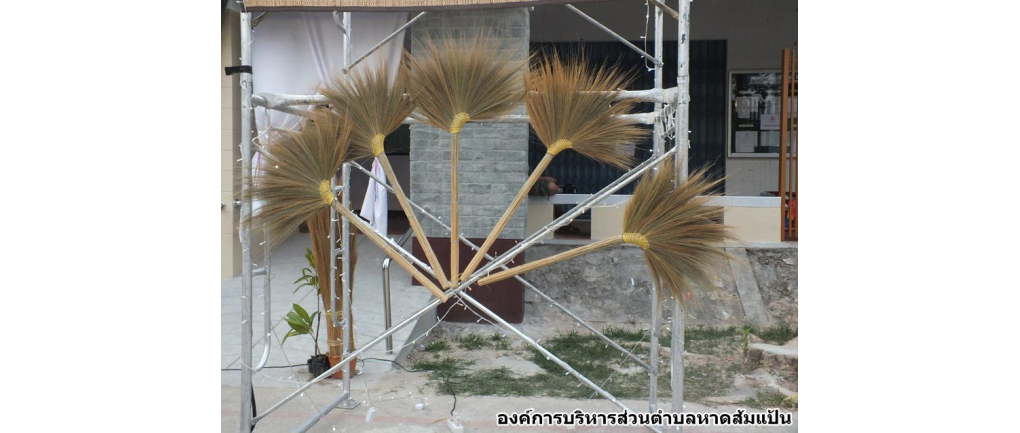 กลุ่มไม้กวาดดอกอ้อ